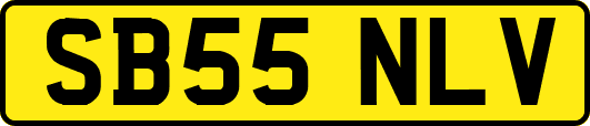 SB55NLV