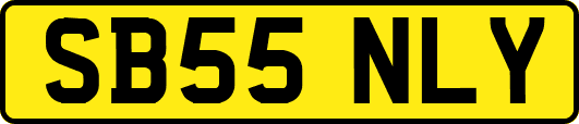 SB55NLY
