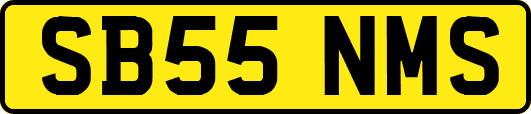 SB55NMS