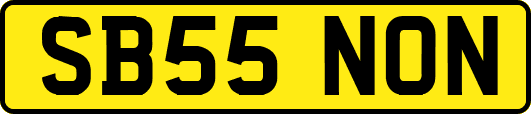 SB55NON