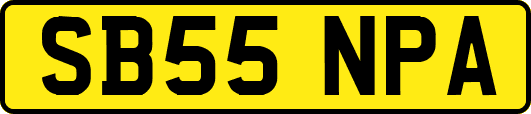 SB55NPA