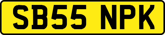 SB55NPK