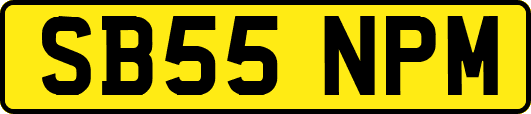SB55NPM