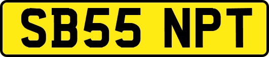 SB55NPT