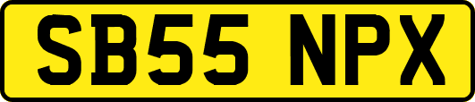 SB55NPX