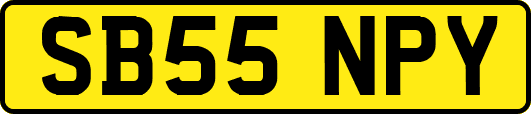 SB55NPY