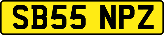SB55NPZ