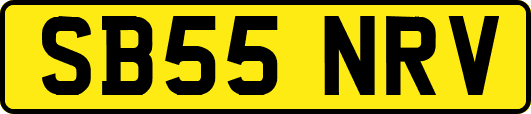 SB55NRV