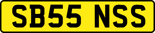 SB55NSS