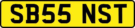 SB55NST