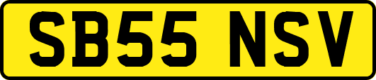 SB55NSV