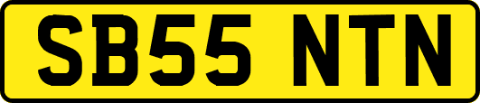 SB55NTN