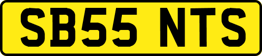 SB55NTS