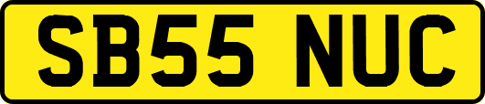 SB55NUC