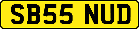 SB55NUD