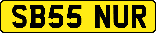 SB55NUR