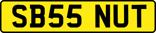 SB55NUT