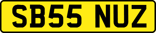 SB55NUZ