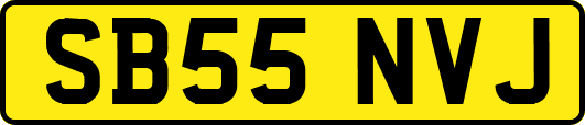 SB55NVJ