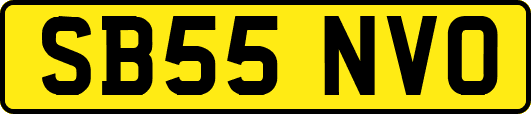 SB55NVO