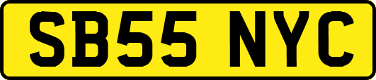 SB55NYC