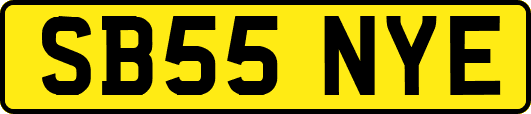 SB55NYE