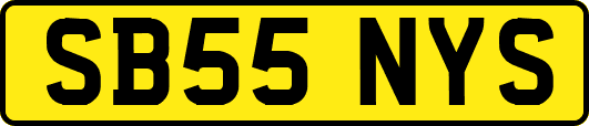 SB55NYS