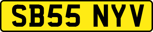 SB55NYV