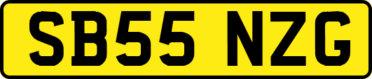 SB55NZG