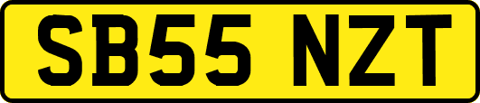 SB55NZT