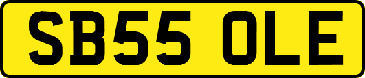 SB55OLE