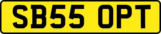 SB55OPT