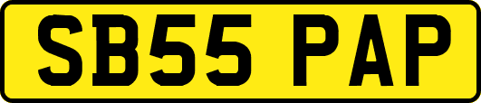 SB55PAP