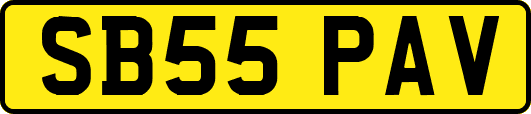 SB55PAV