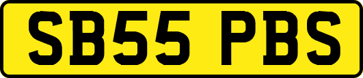 SB55PBS