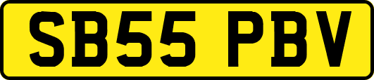 SB55PBV