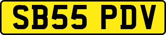 SB55PDV