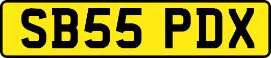 SB55PDX