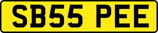 SB55PEE