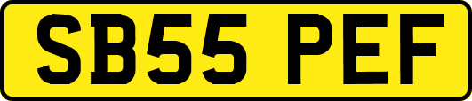 SB55PEF