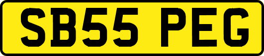 SB55PEG