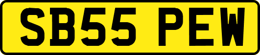 SB55PEW
