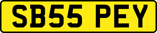 SB55PEY