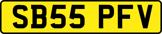 SB55PFV
