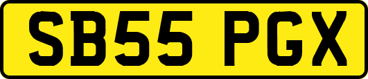 SB55PGX