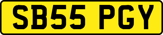 SB55PGY