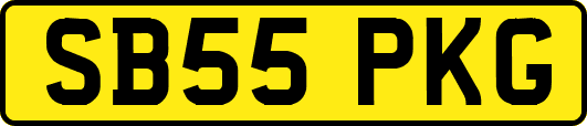 SB55PKG