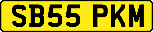 SB55PKM