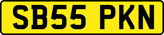 SB55PKN