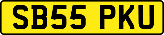 SB55PKU